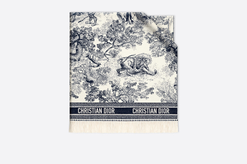 Dior Fierce Blanket 5