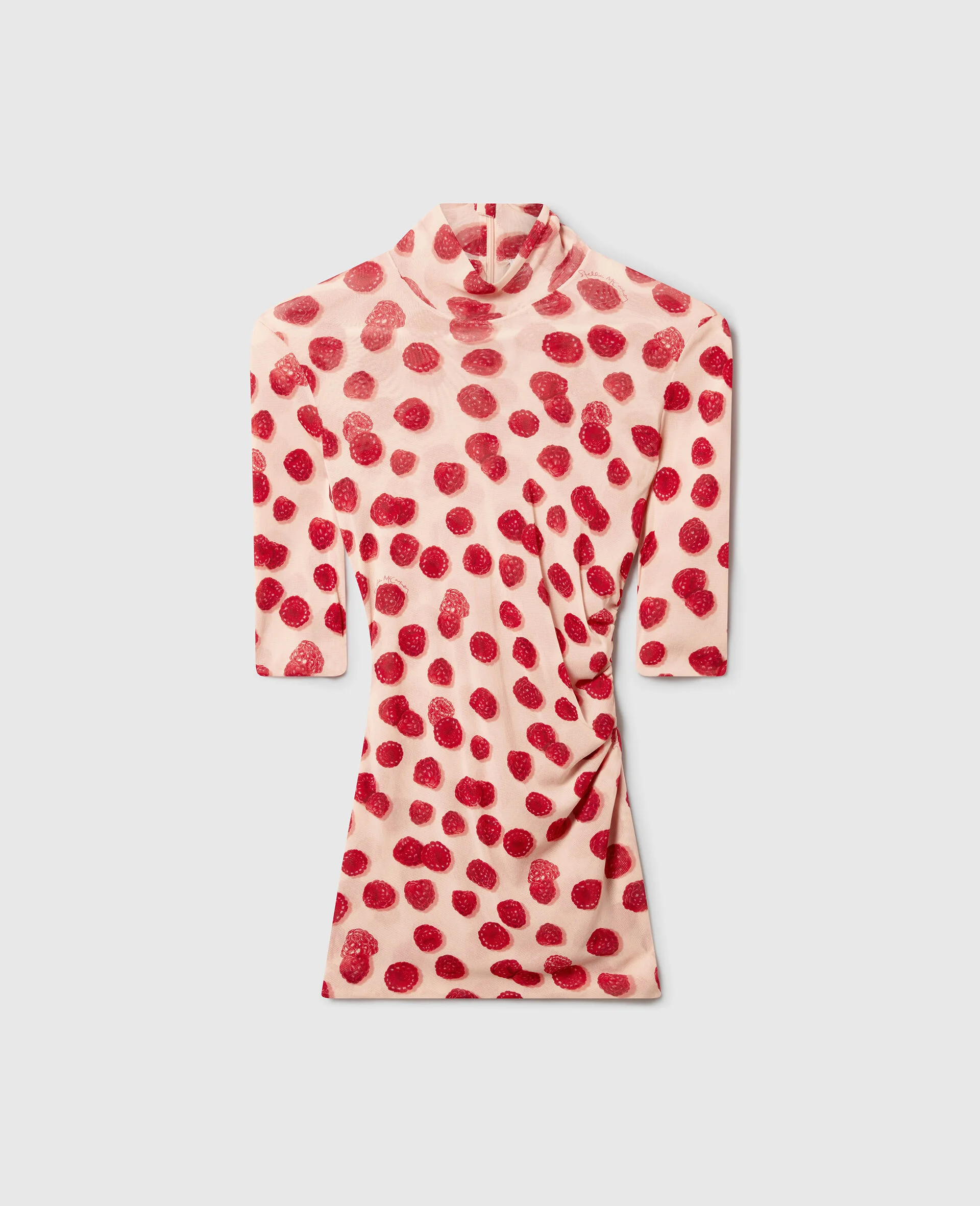Raspberry Print High-Neck Mesh Top - 1