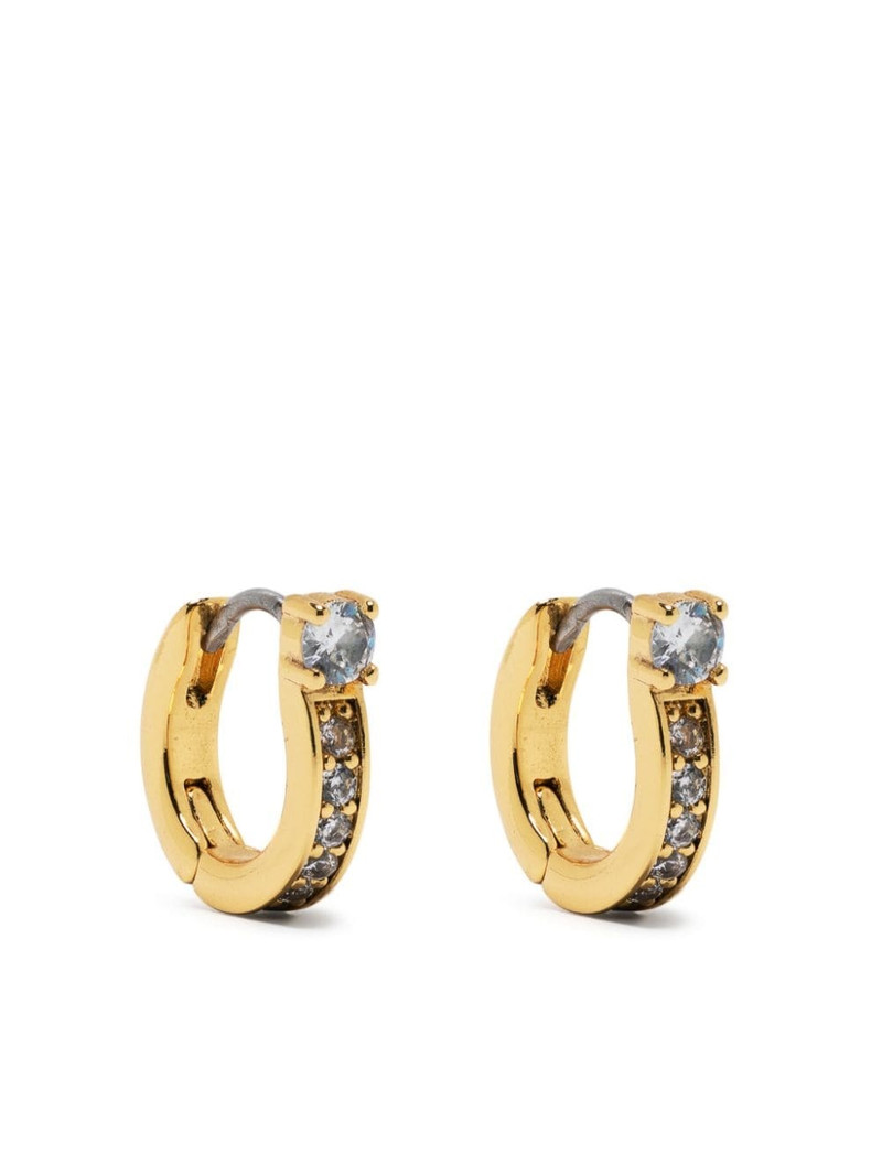 Precious Delights hoop earrings 1