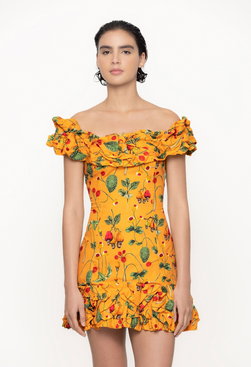 Jardin Frutal Mini Dress 5