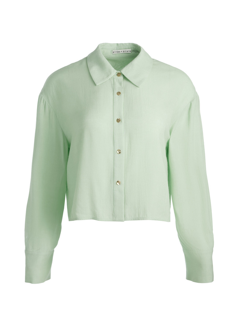 FINELY CROPPED BUTTON DOWN 1