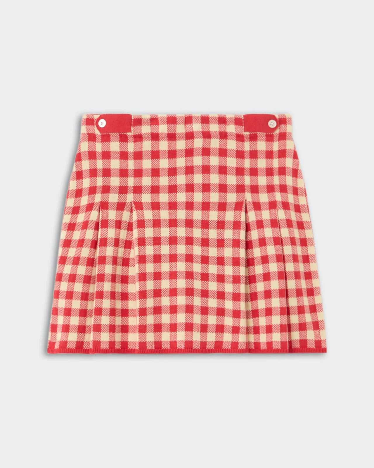 Gingham Pleated Skirt - 1