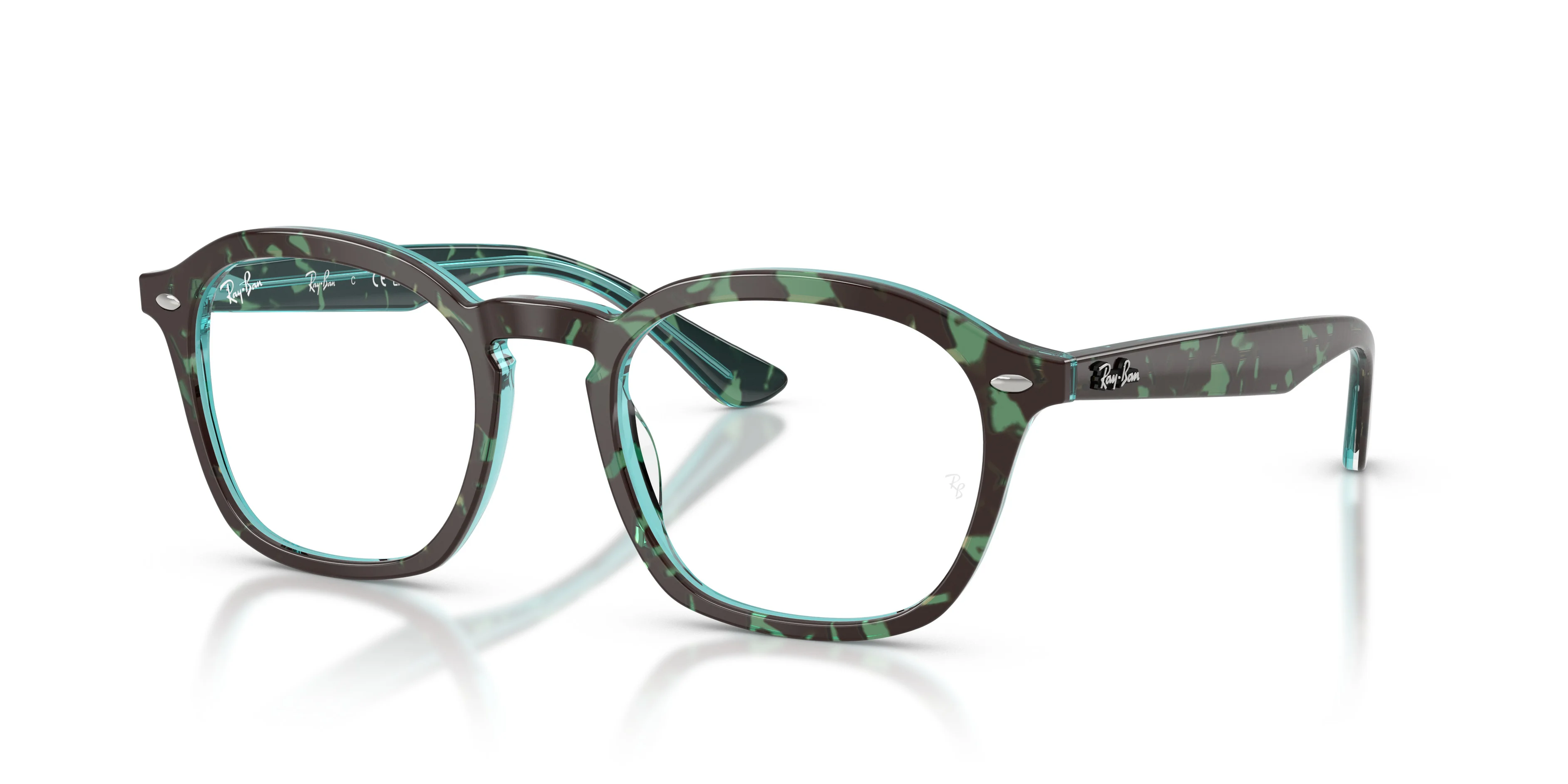 RB5451 OPTICS - 1