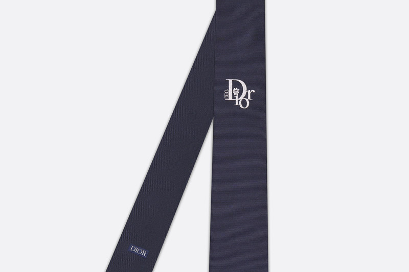 Dior DIOR BY ERL Tie outlook