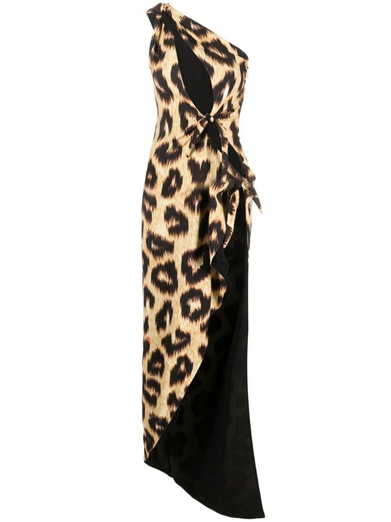 leopard-print maxi dress - 1