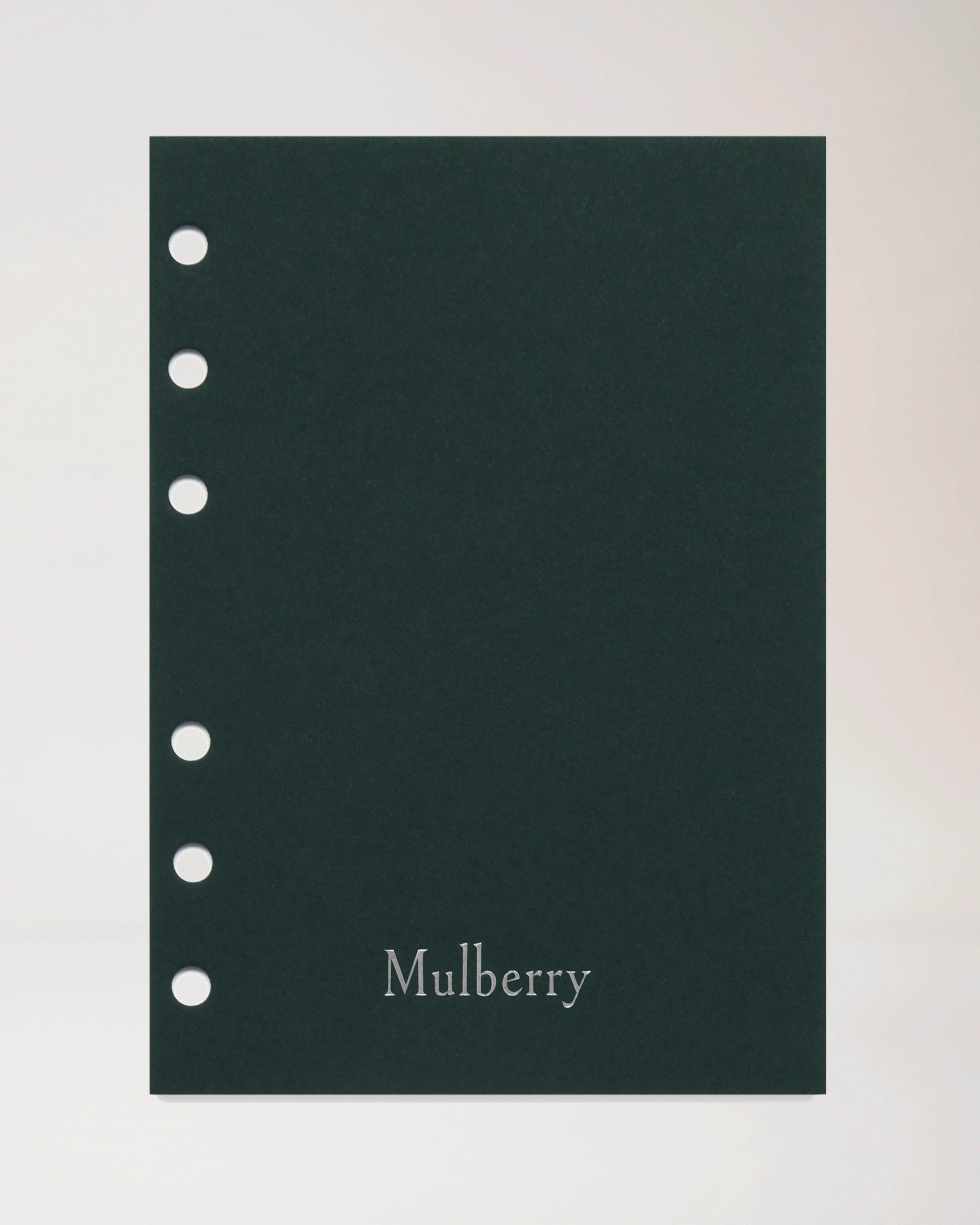 2025 Planner Diary Insert
White Paper - 1