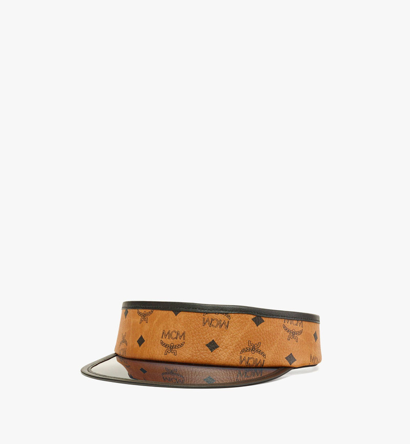 Vinyl Visor in Visetos 1