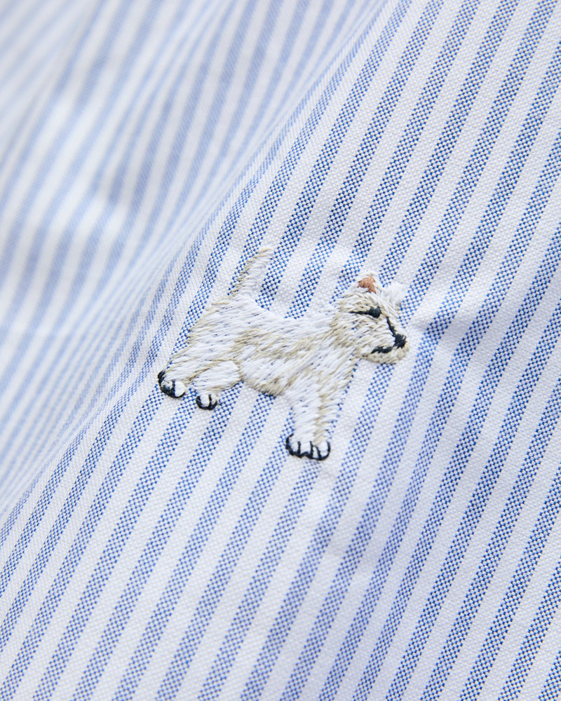 Portuguese Flannel Dogs Oxford Shirt in Blue Stripe outlook