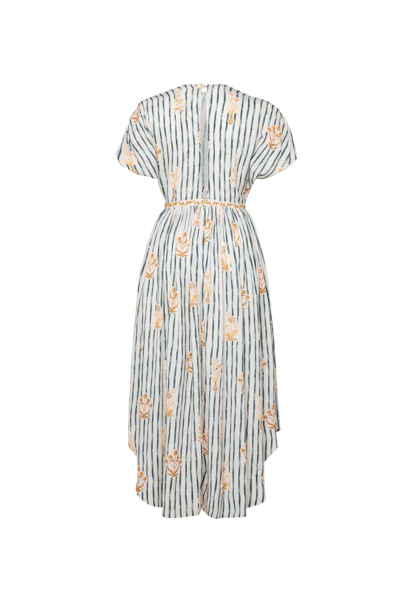 Aire Herbario Maxi Dress 3