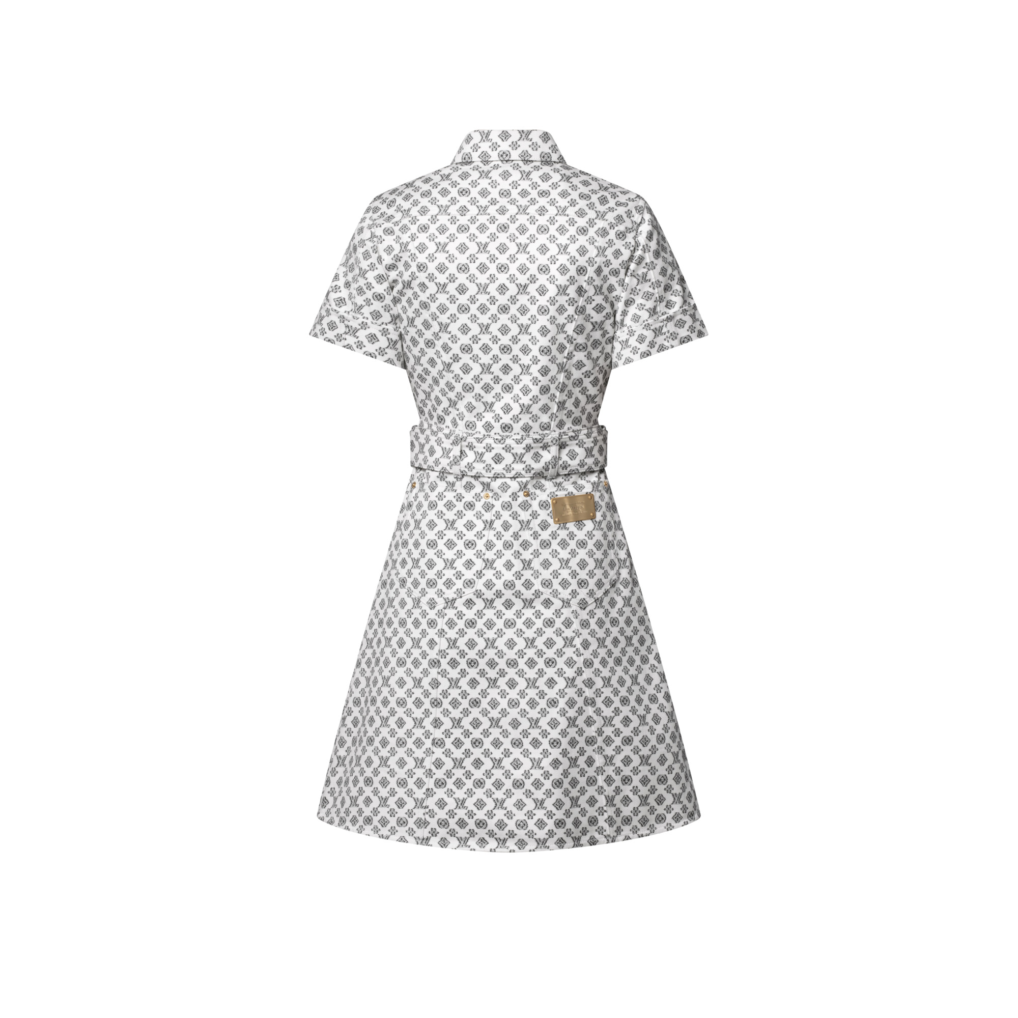 Blurry Monogram Shirt Dress - 3