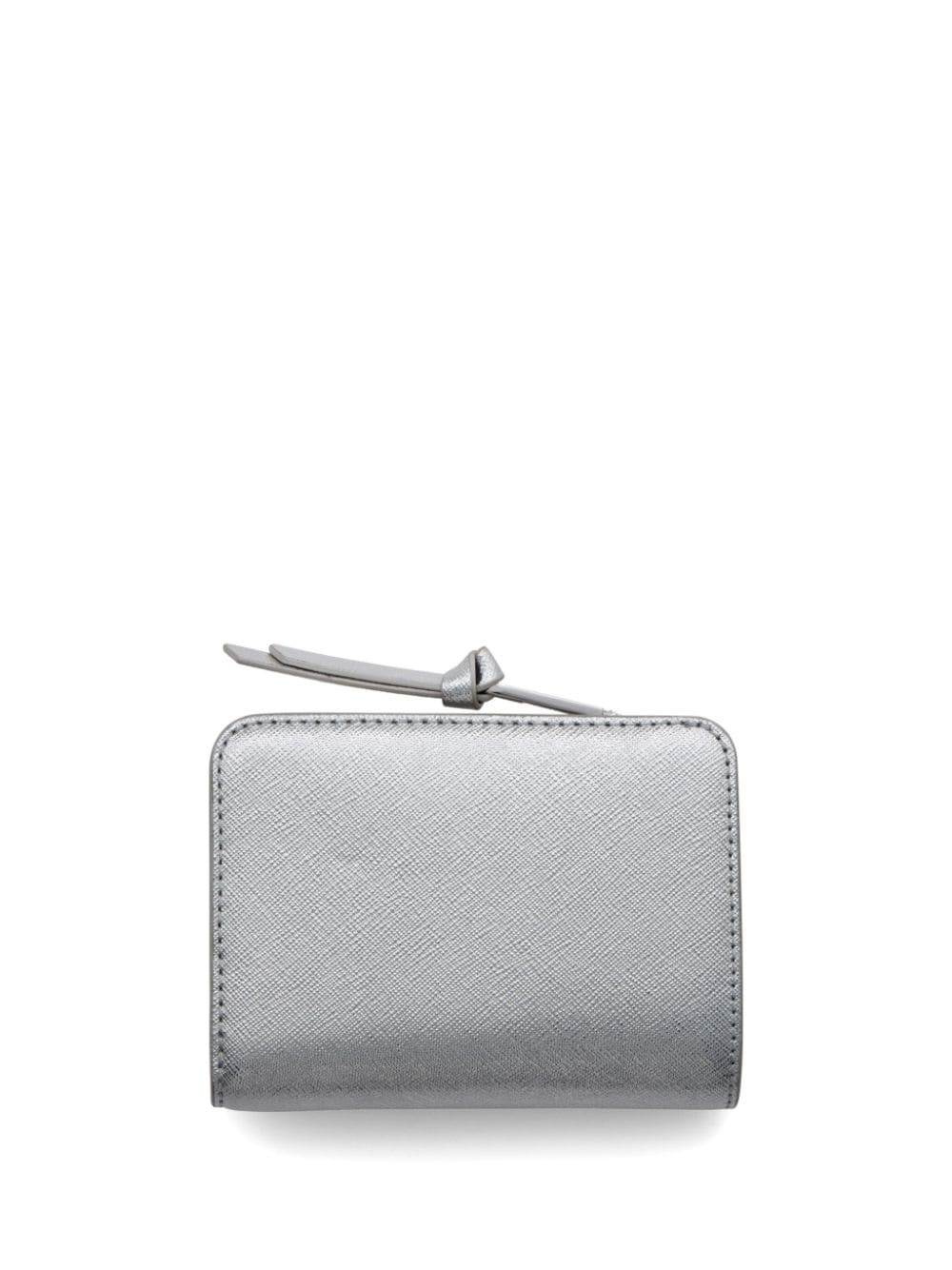 The Snapshot wallet - 2