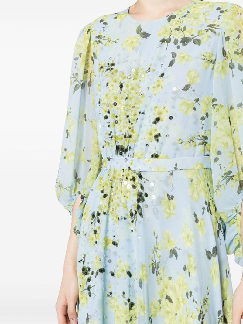 Bianca chiffon gown 5