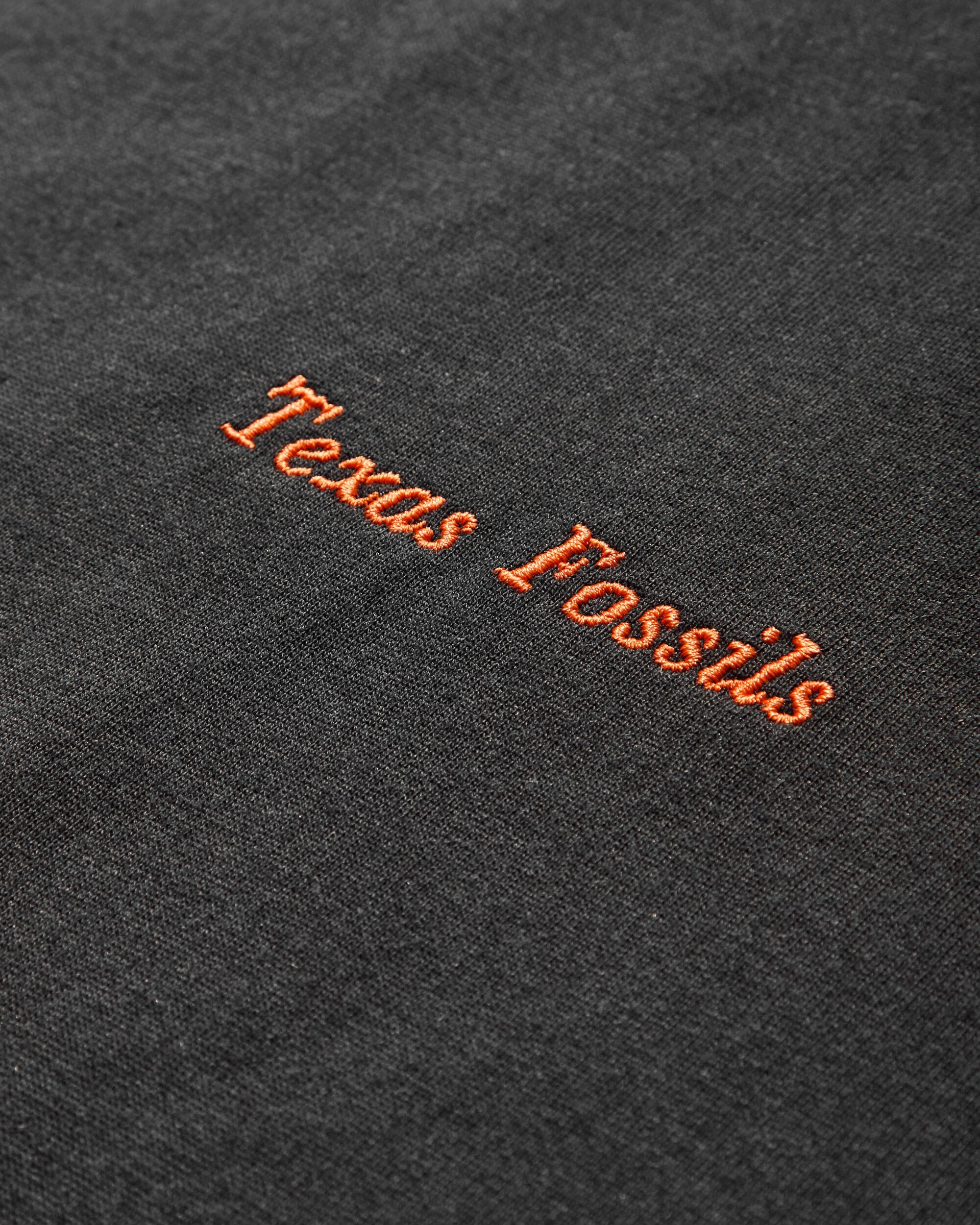 Men's ACG Fossils T-Shirt Black - 3