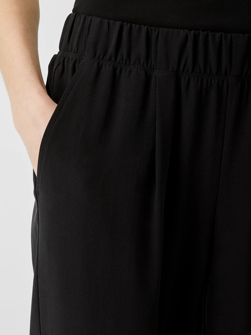 Silk Georgette Crepe Pleated Pant 4