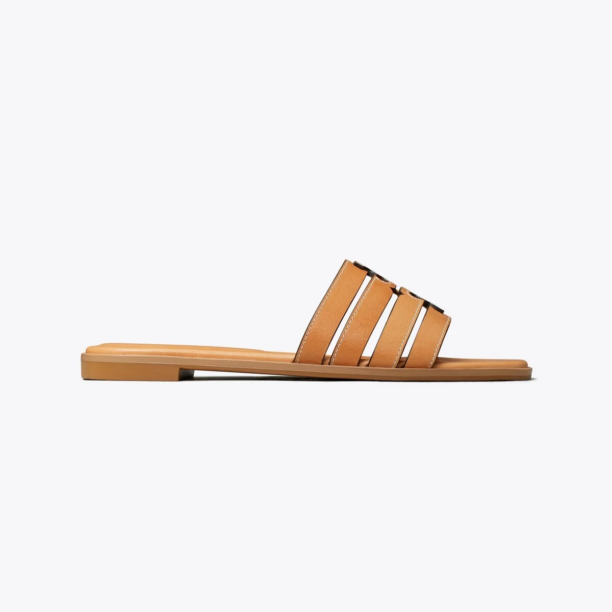 Ines Slide - 1