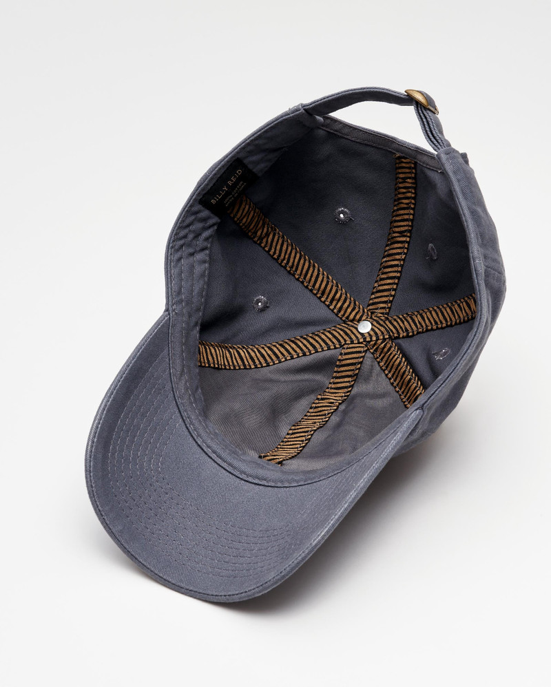 MSL Cap 6
