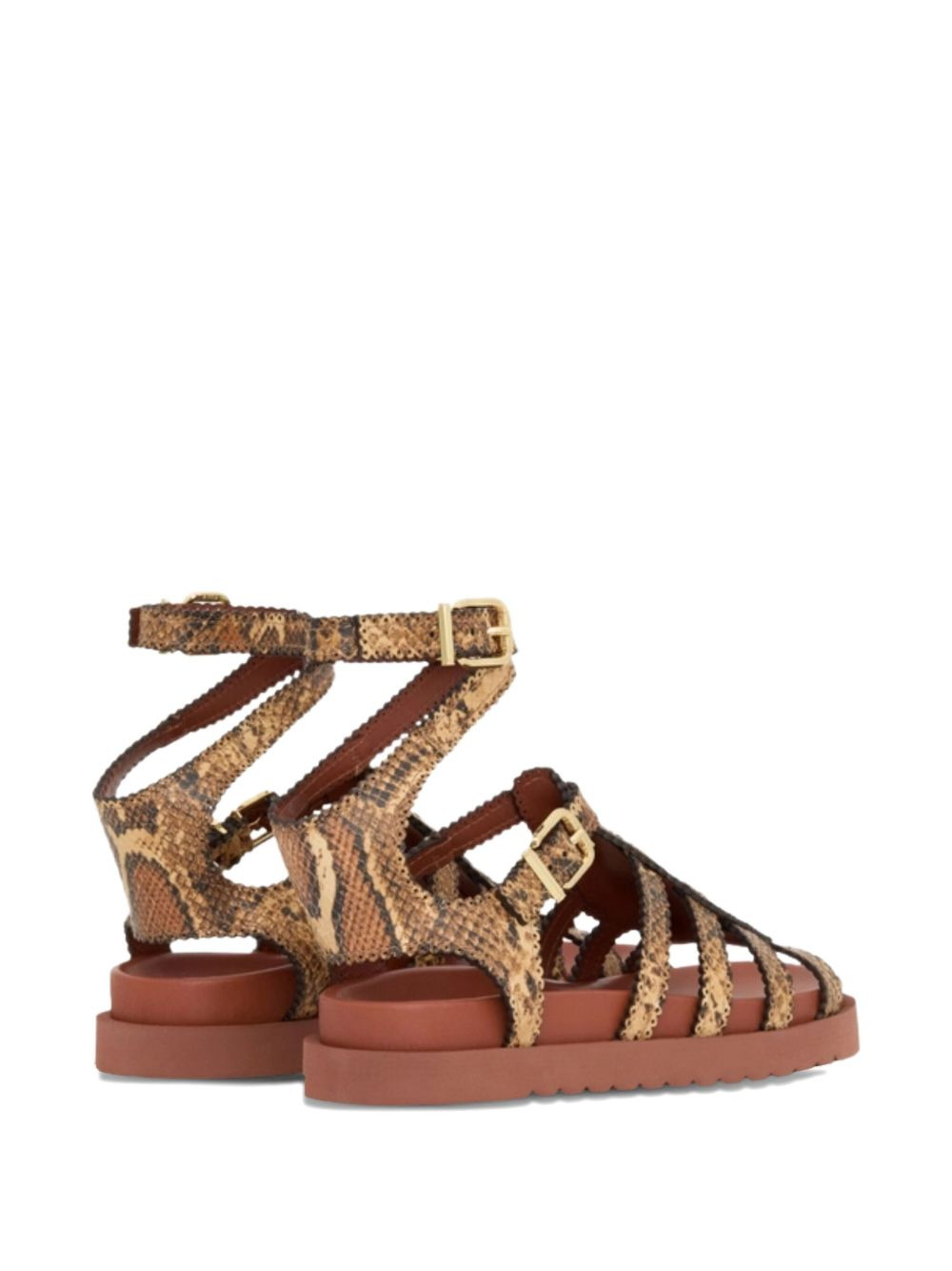 Goldie Gladiator buckle sandals - 5
