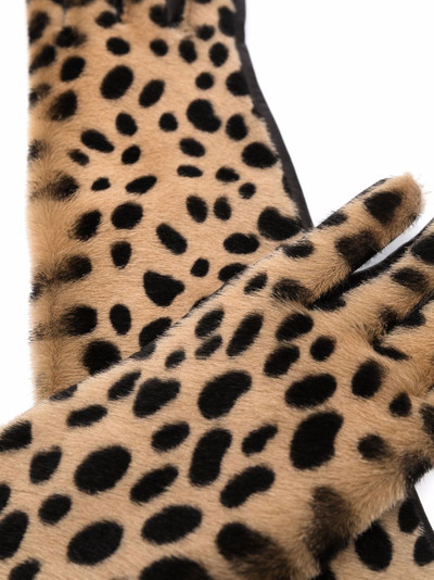 Lanvin leopard-print gloves outlook