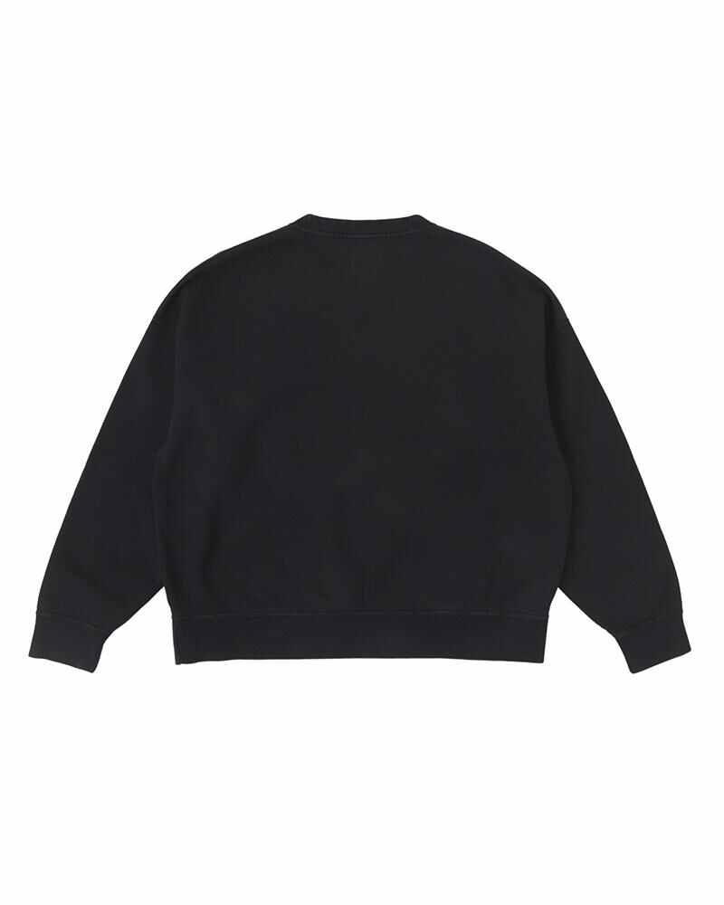 visvim AMPLUS SB SWEAT L/S DK.INDIGO | REVERSIBLE