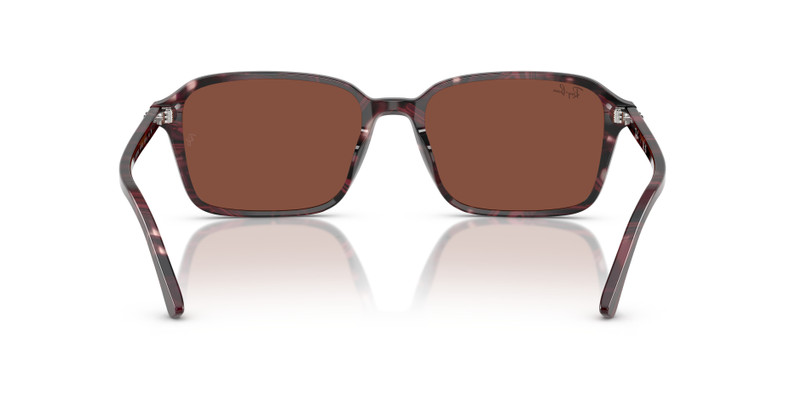 RAIMOND 6