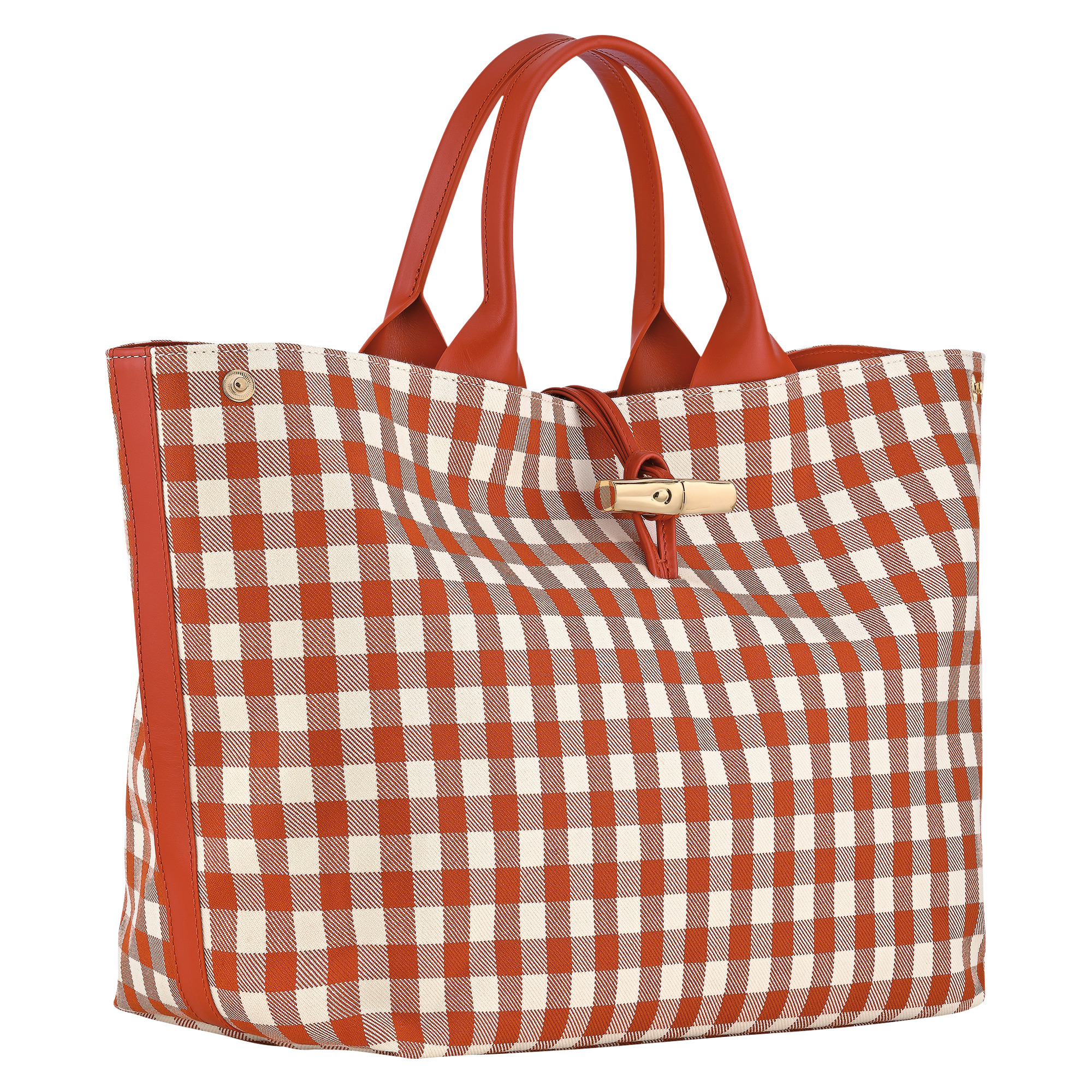 Le Roseau L Handbag Bark - Canvas - 3
