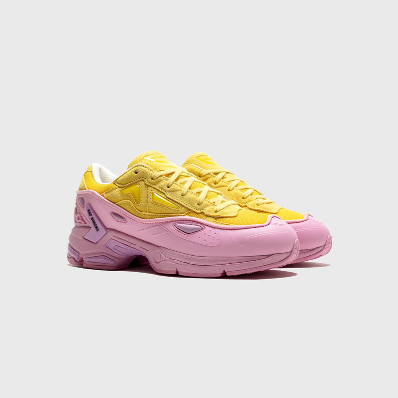 Raf Simons (RUNNER) PHARAXUS outlook