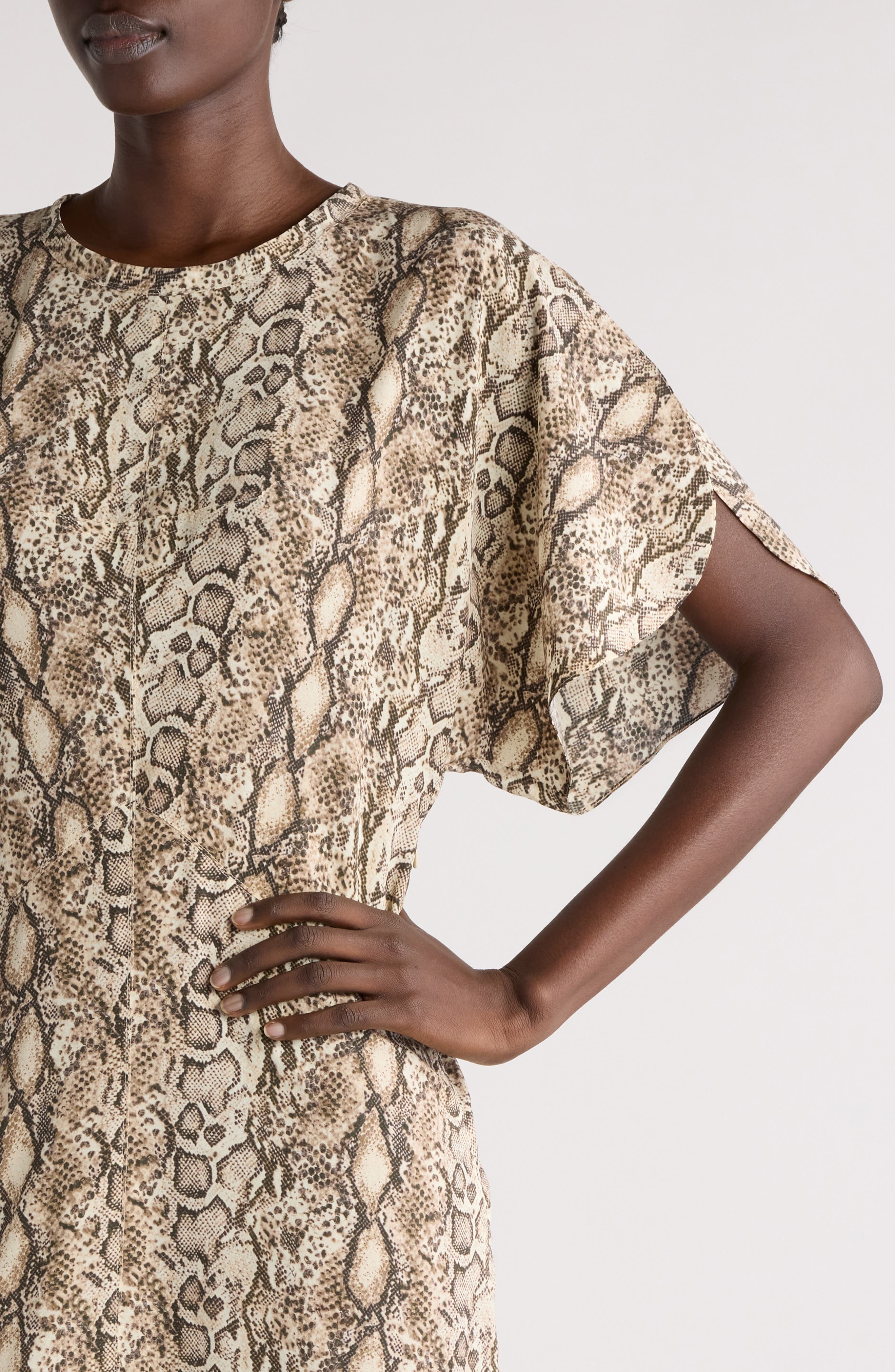 Isabel Marant Keany Snakeskin Print Stretch Silk Dress in Natural at Nordstrom - 4