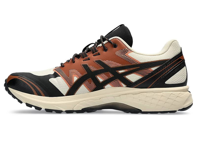 Asics GEL-TERRAIN outlook