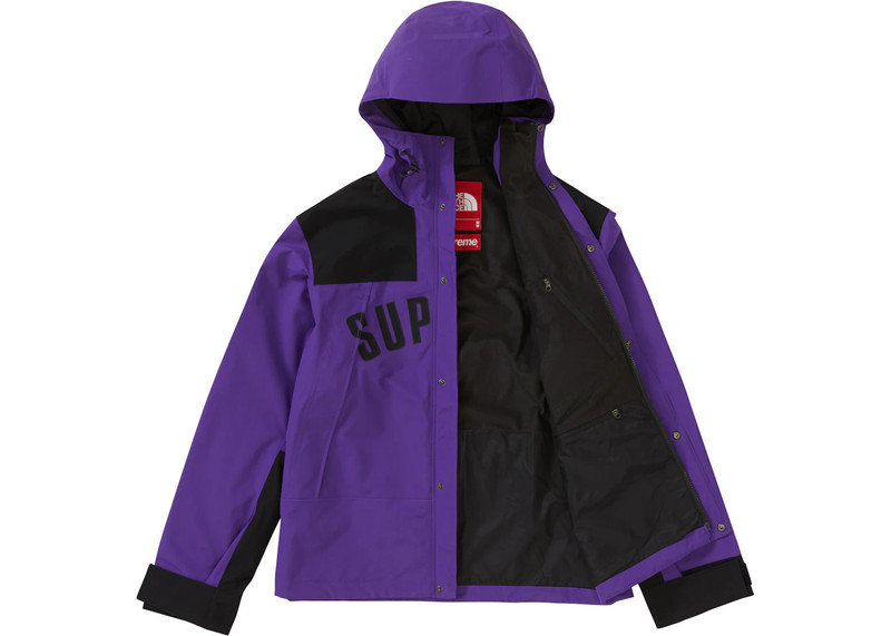 Supreme Supreme The North Face Arc Logo Mountain Parka Purple outlook