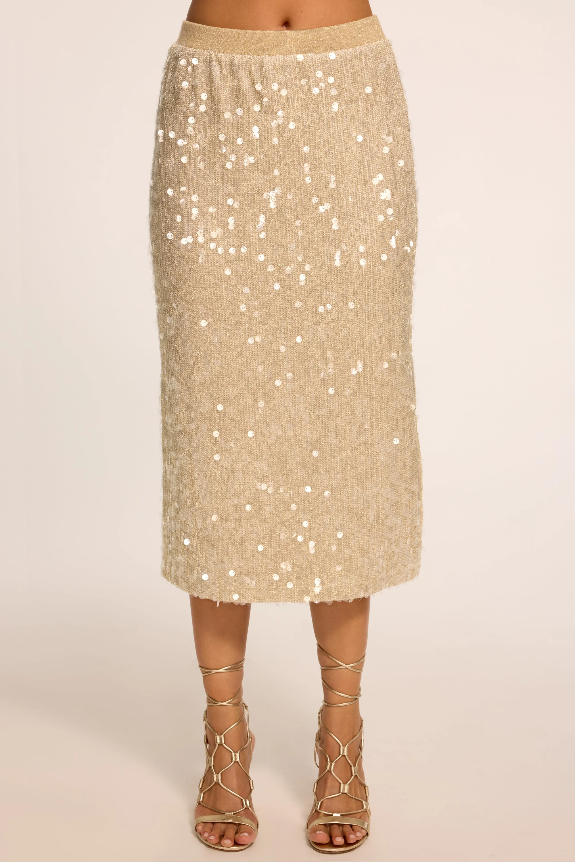 Annita Paillette Knit Midi Skirt - 1