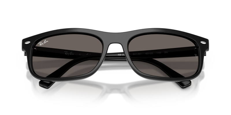 Ray-Ban RB2224 outlook