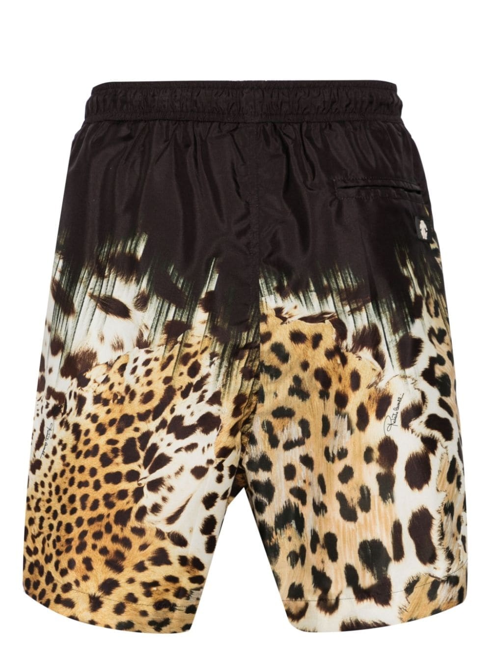 Tiger Tooth-detailed leopard-print swim shorts - 2