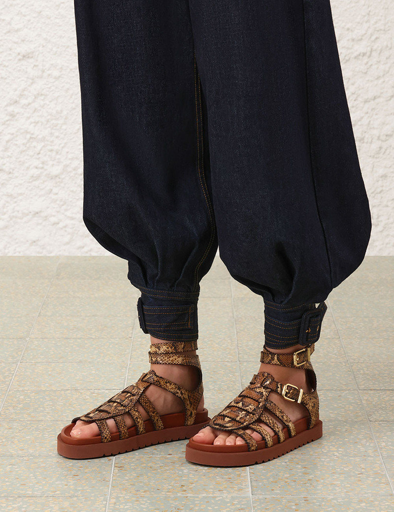 Zimmermann GOLDIE GLADIATOR outlook