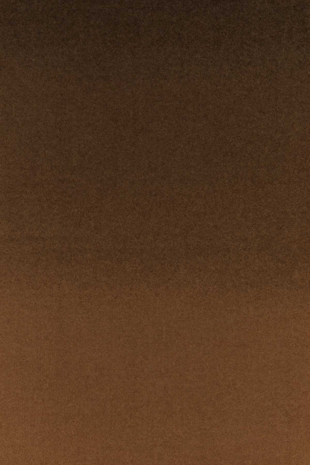 Salvatore Ferragamo Women Brown Cashmere Scarf - 3