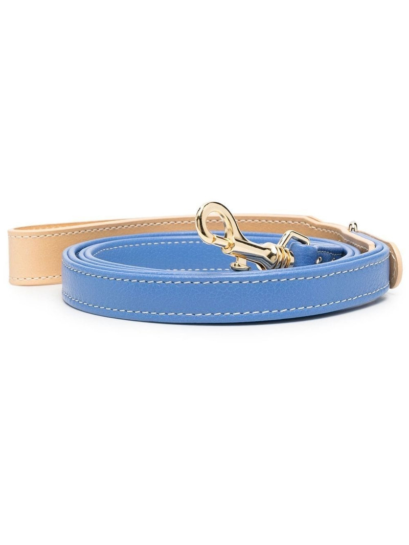 leather pet lead 1