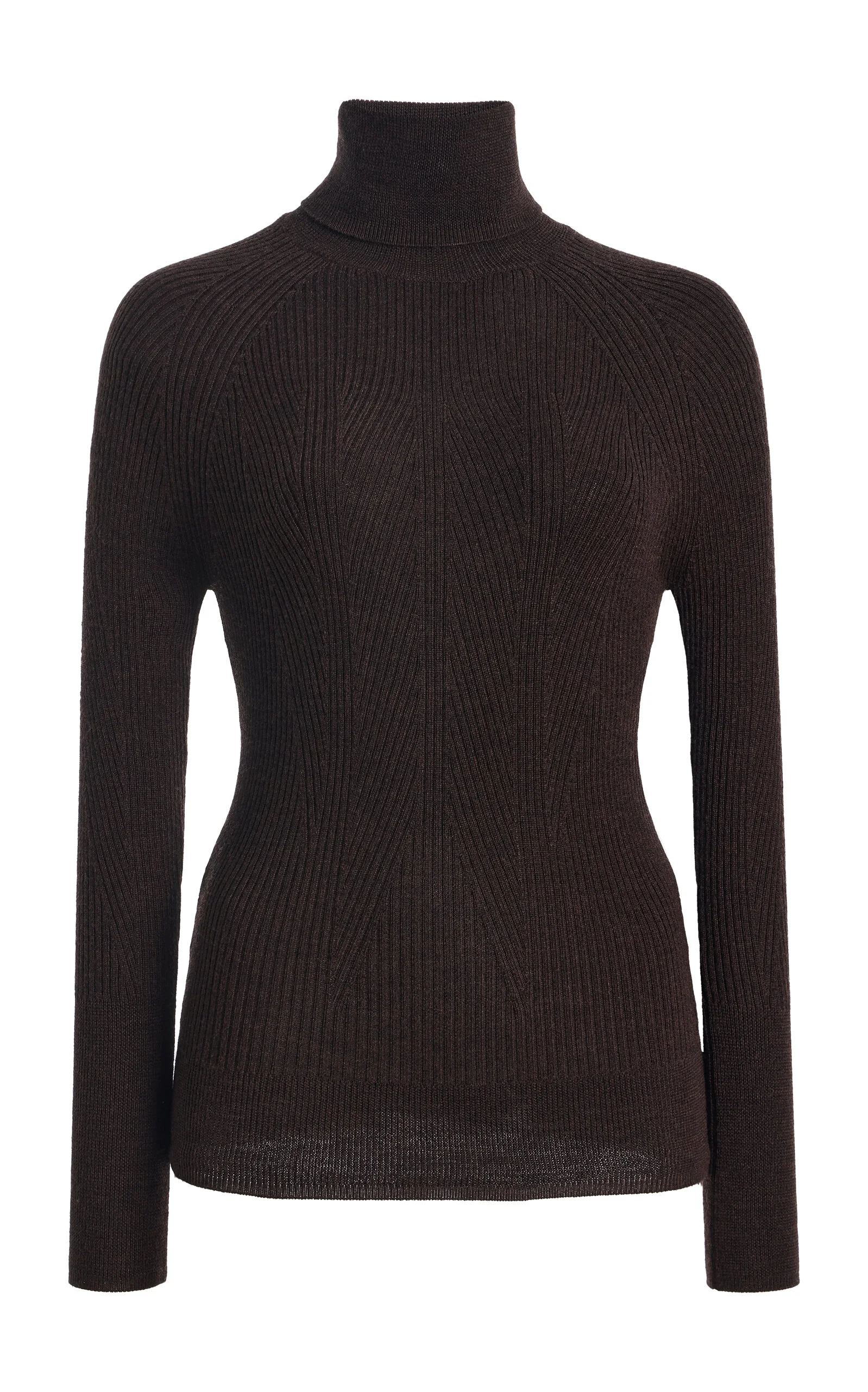 Merino Wool Turtleneck Sweater - 1