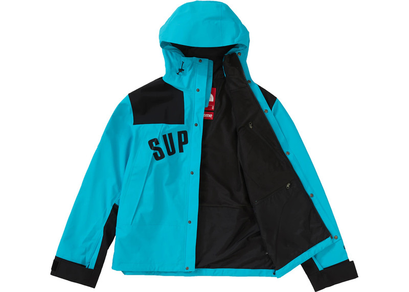 Supreme Supreme The North Face Arc Logo Mountain Parka Teal outlook
