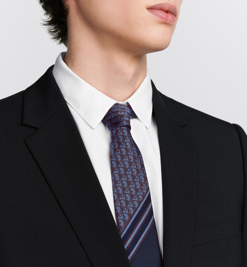 Striped Dior Oblique Tie 3