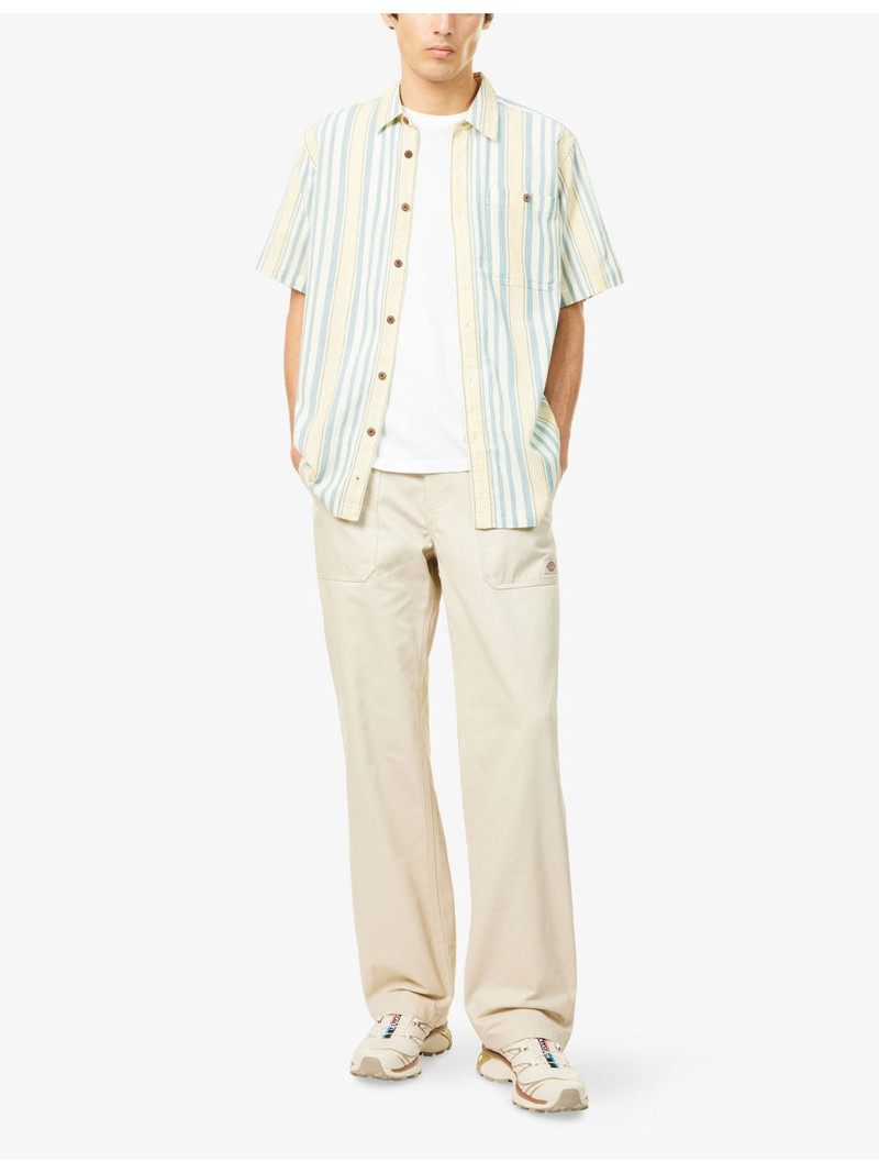 Patagonia Stripe-Print Short-Sleeve Cotton Shirt outlook