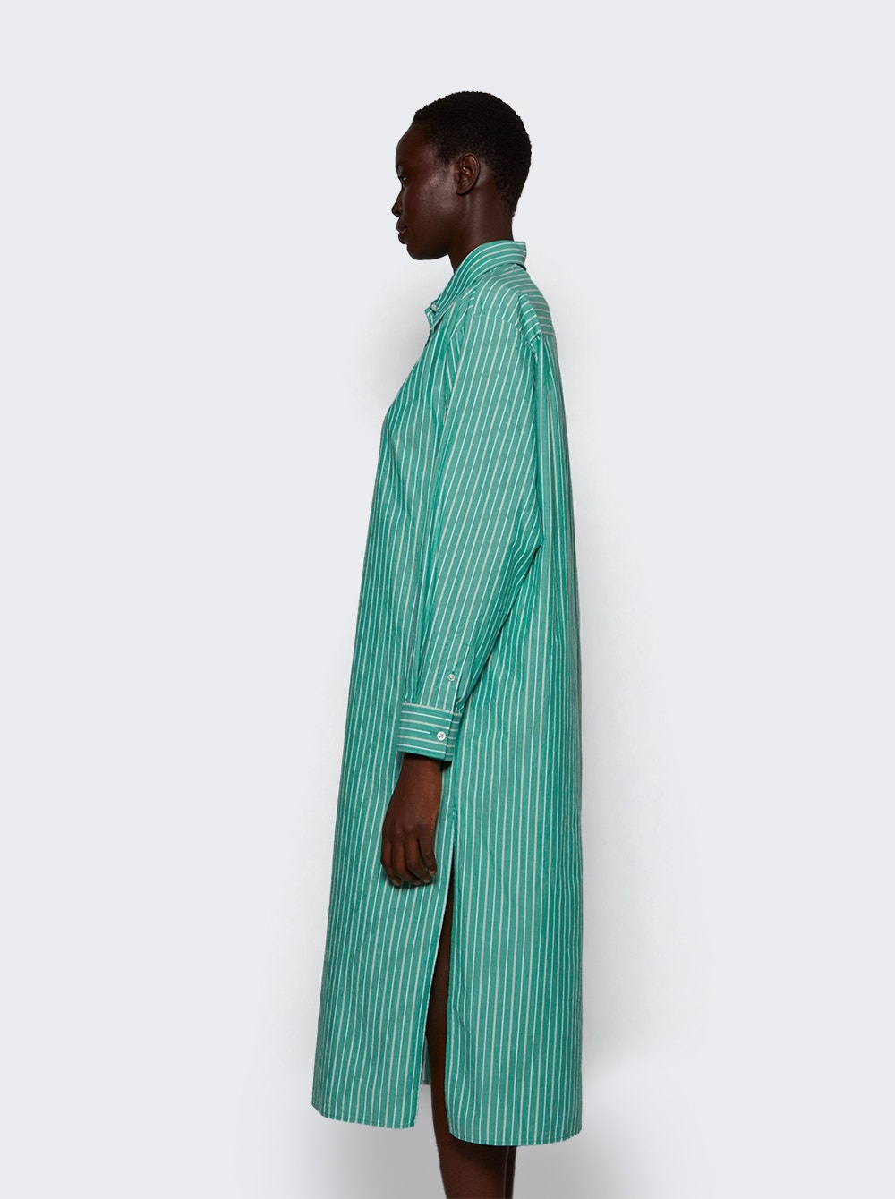 Chihiro Dress Green And White - 3