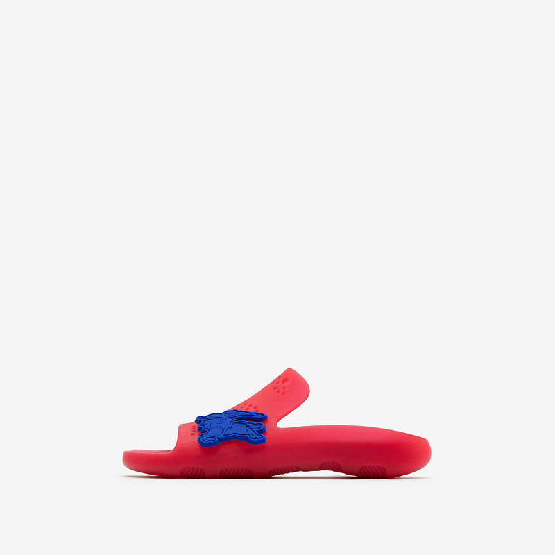 Rubber Stingray Slides 6