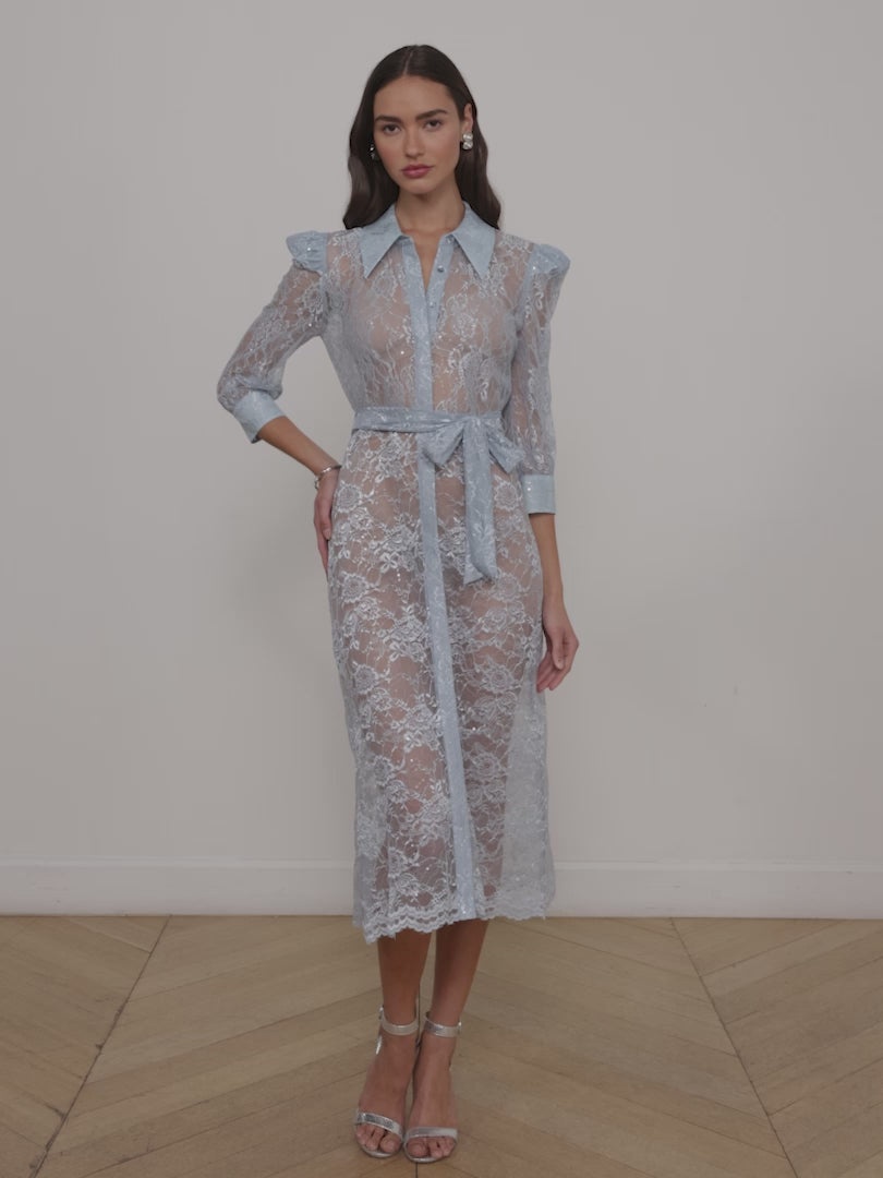Kaiya Sequined Lace Dress - 6