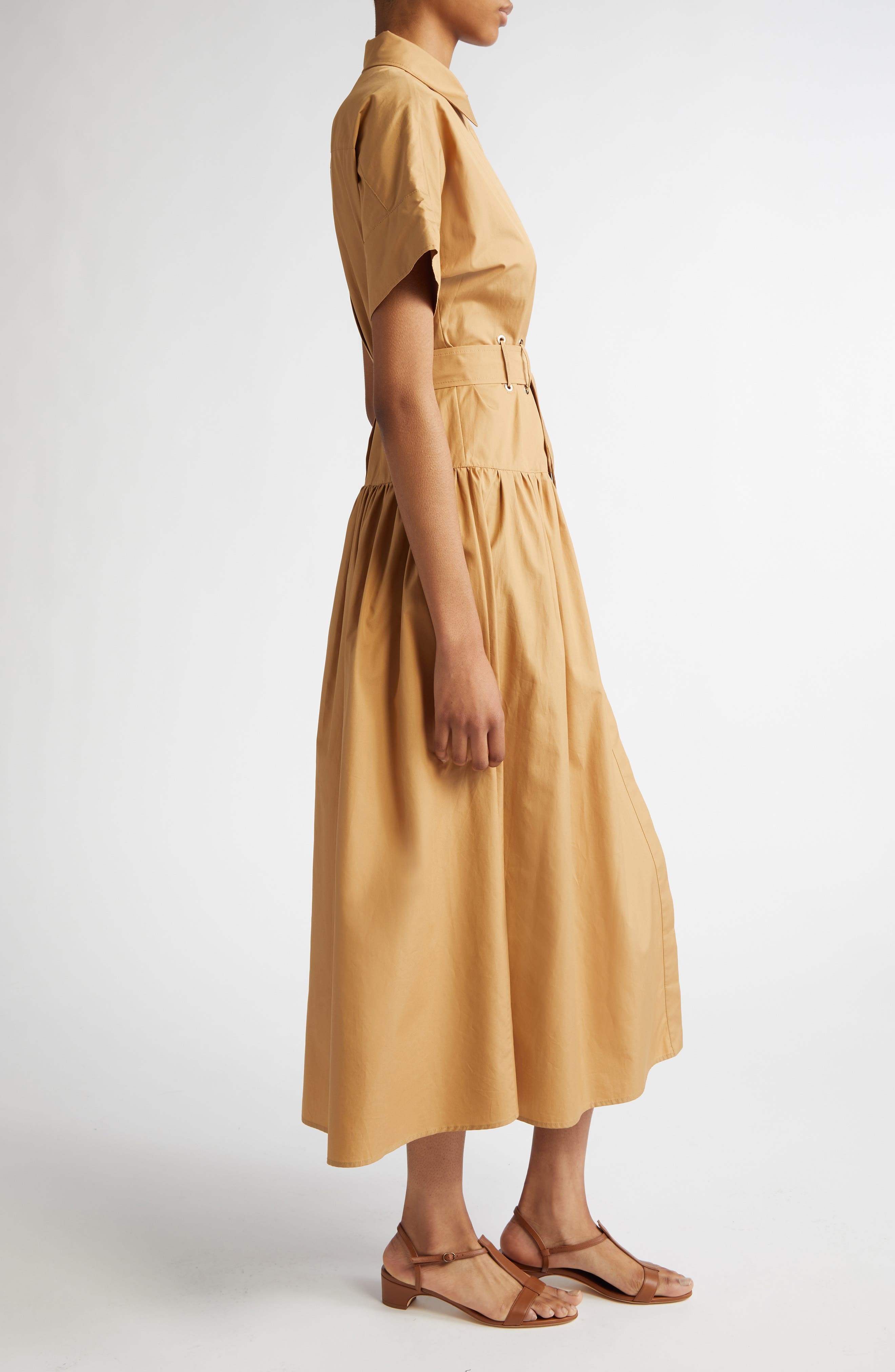Max Mara Agoraio Cotton Belted Shirtdress in Caramel at Nordstrom - 3