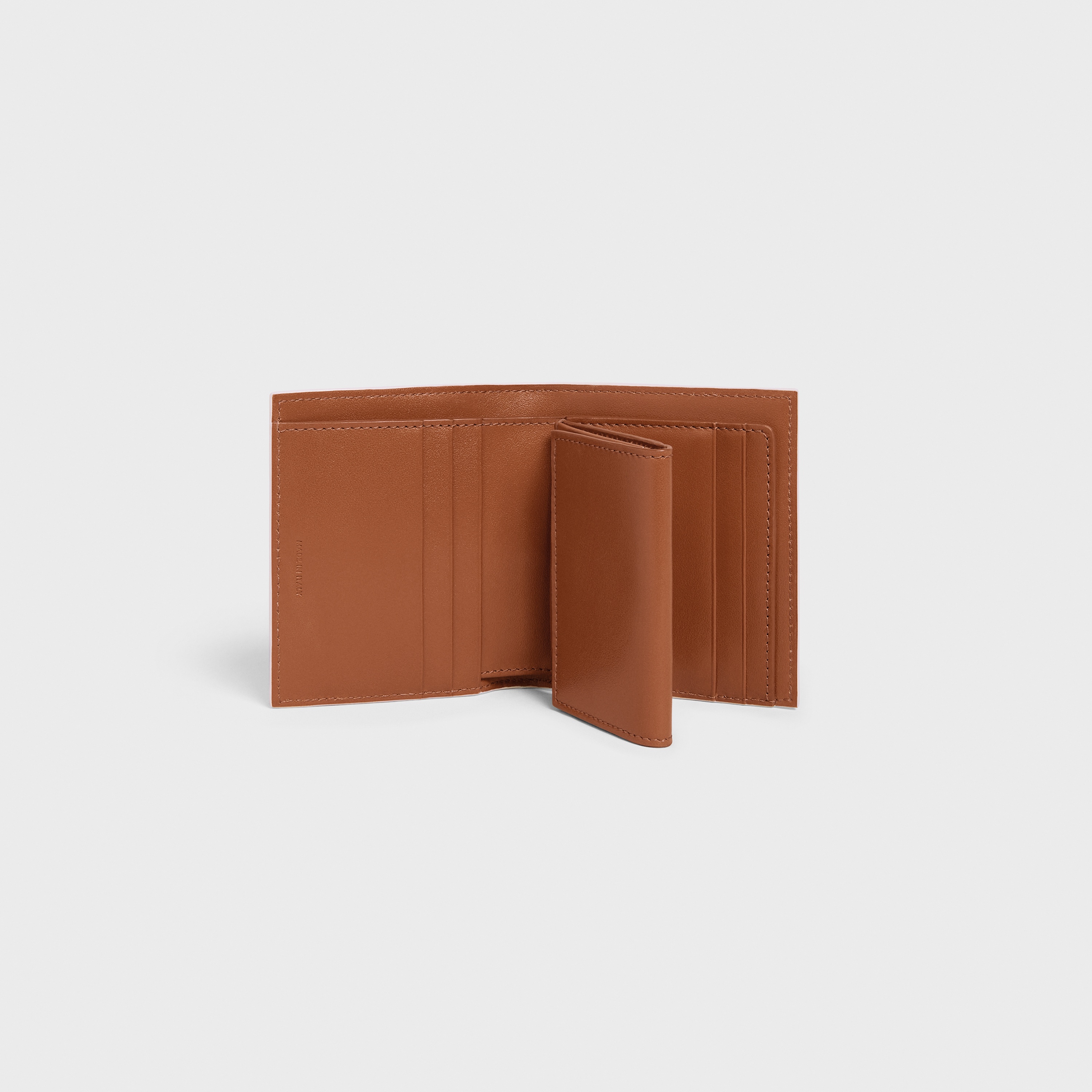 Small Strap Wallet Essentials in Triomphe Canvas and Lambskin - 4