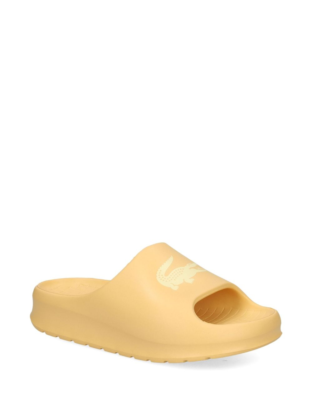Serve logo-strap slides - 2