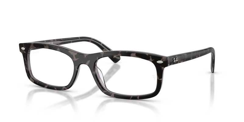 RB5450 OPTICS 1
