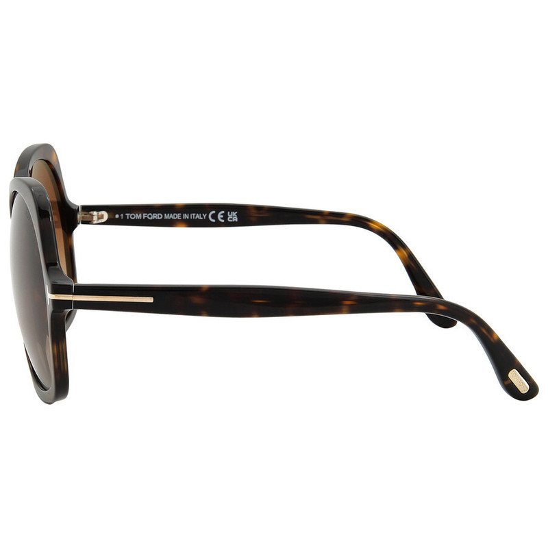 Tom Ford Rosemin Gradient Brown Butterfly Ladies Sunglasses FT1013 52F 64 4
