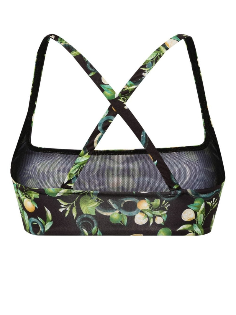 Roberto Cavalli lemon-print bikini top outlook