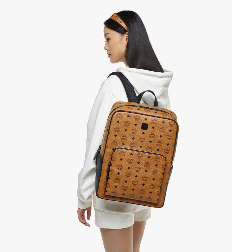 Aren Backpack in Visetos 6