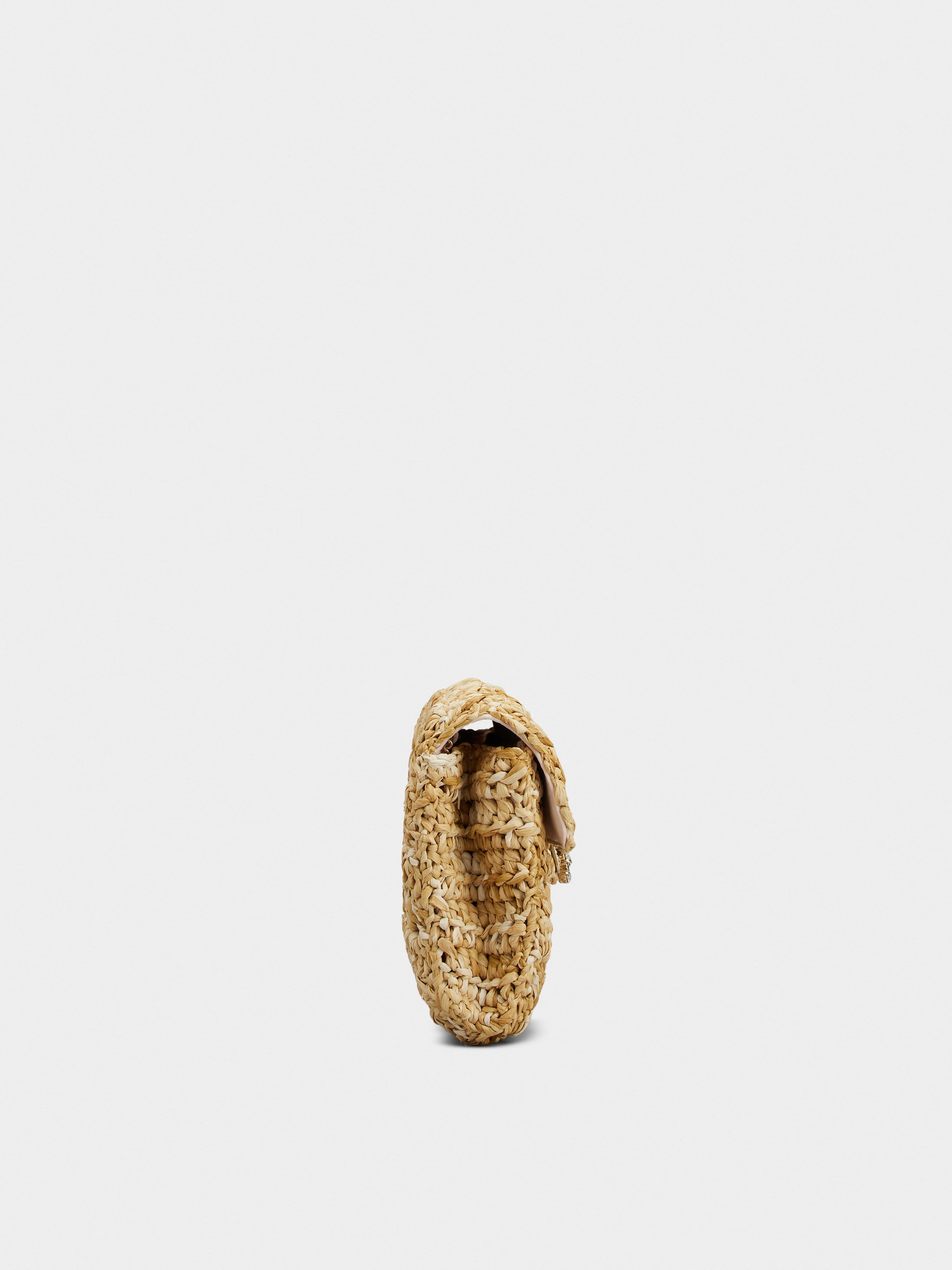 Broche Vivier Buckle Crochet Clutch in Raffia - 4